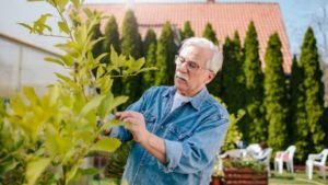 Physical Therapy Helps Seniors