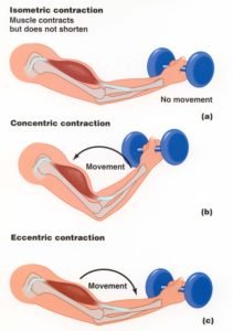 Total Body Strength Protocol