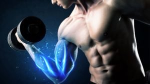 Total Body Strength Protocol