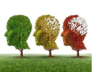 Late Stage Alzheimer's